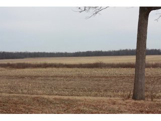 Property photo 11 - MAJOR LAND AUCTION - 541+/- Acres offered in 5 Tracts